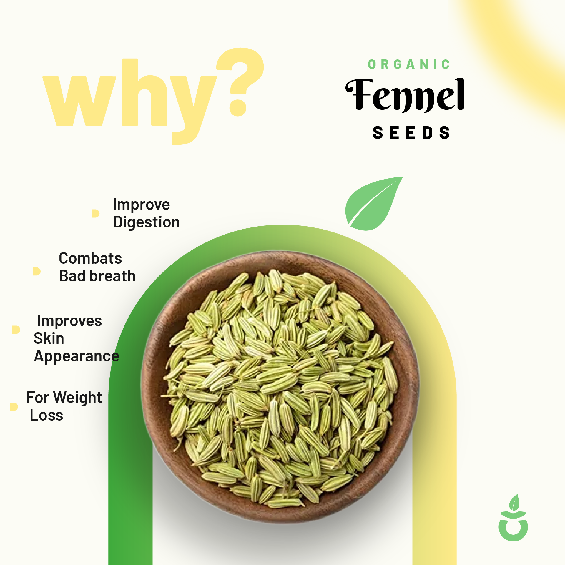 Organic Fennel Seeds