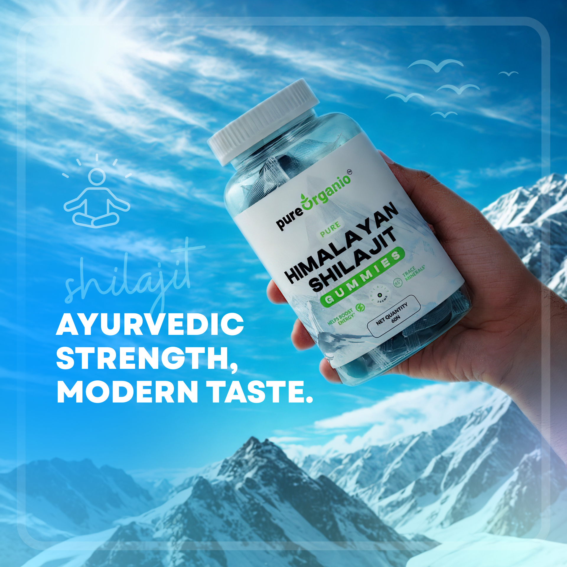 Himalayan Shilajit Gummies